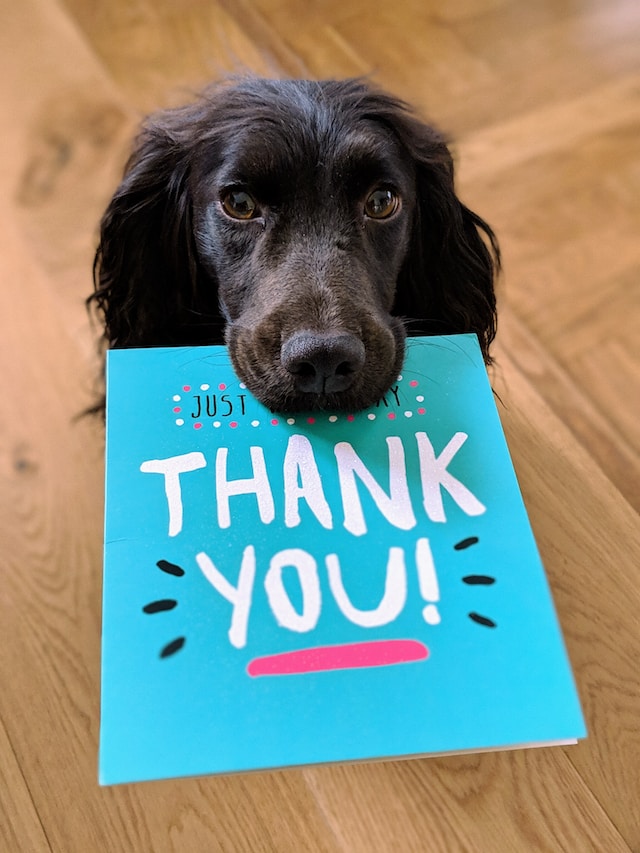 How To Say Thank You For Birthday Wishes 1000wishes